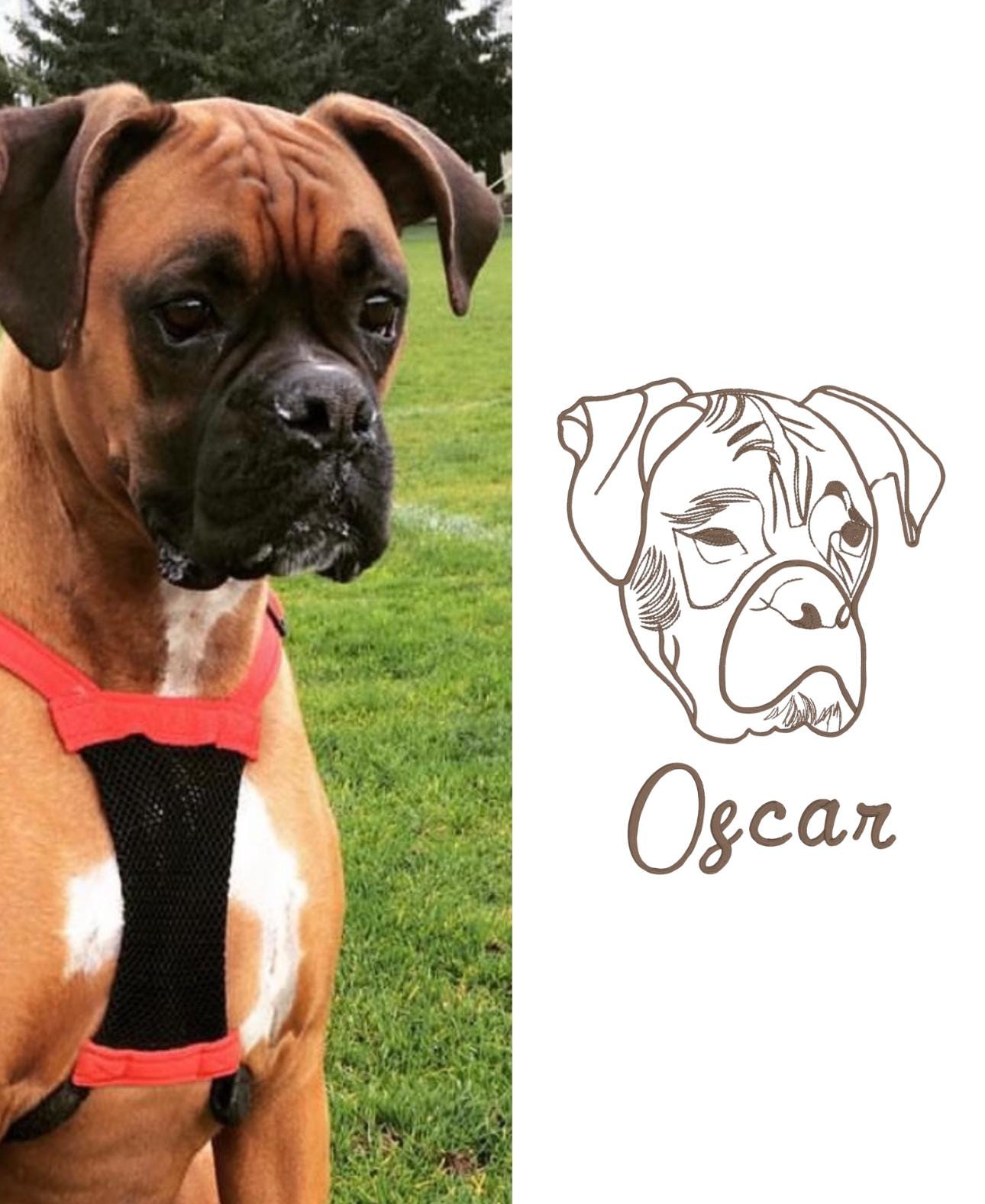 Embroidered Pet Sweatshirt, Custom Pet Embroidery.